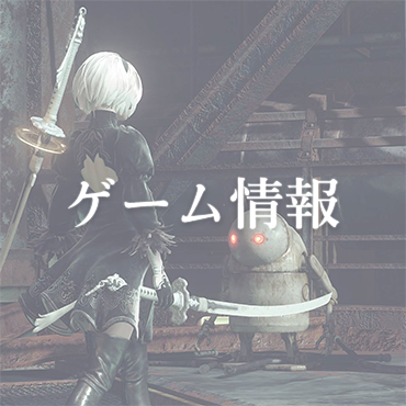 ファイル:ゲーム情報.png