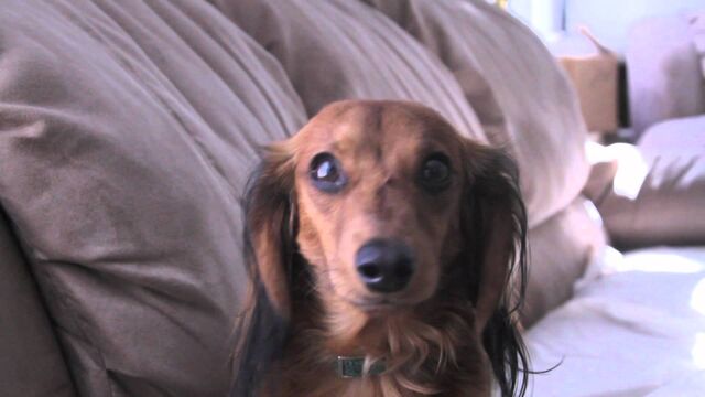 File:Marley.jpg