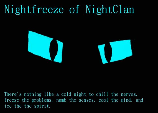 File:Nightfreeze of NightClan.jpg