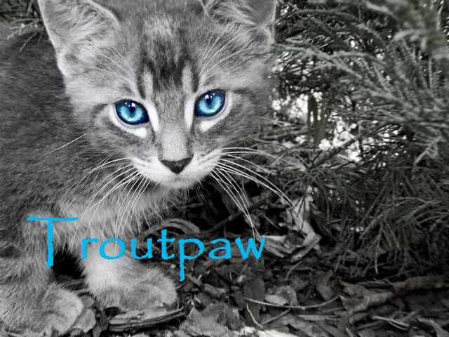 File:Troutpaw.jpg