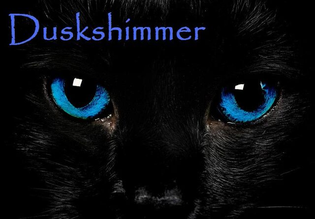 File:Duskshimmer.jpg