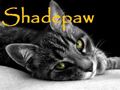 Thumbnail for version as of 16:32, December 27, 2012