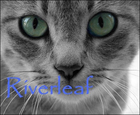 File:Riverleaf.jpg