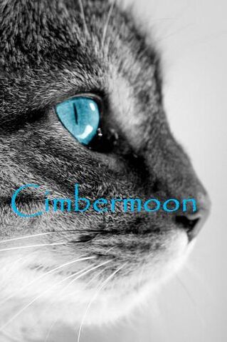 File:Cimbermoon.jpg