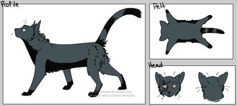 Catscratch