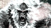 Yeti