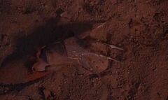 Freddy Grabs Jason Mask