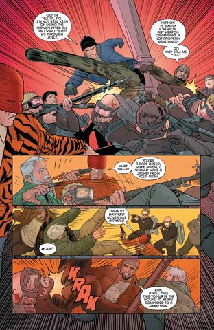 File:Grayson 13 Preview 005.jpg