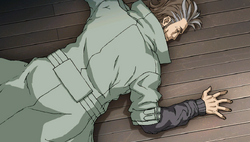 Ace sleeping