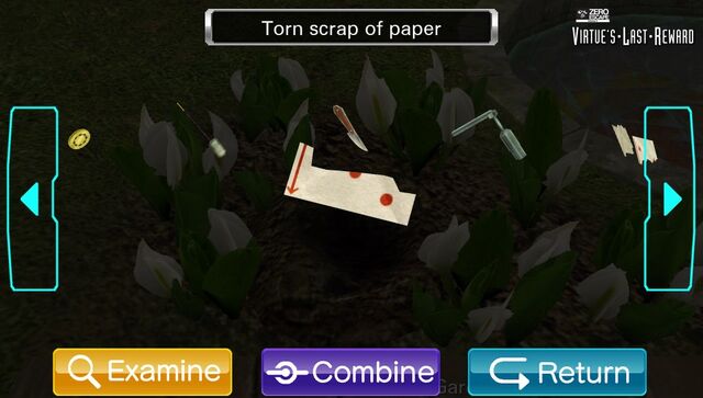 File:TornScrap2.Garden.jpg
