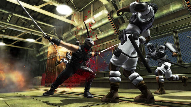 File:Ninja gaiden sigma profilelarge.jpg