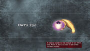 NG1 Item OwlsEye