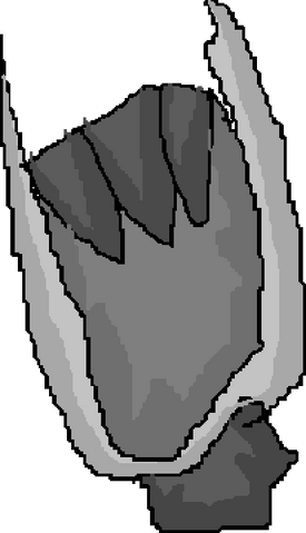 Plik:Ostrze Chi.png