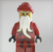 Sensei Santa