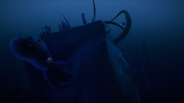 File:MoS52LeviTrap.png