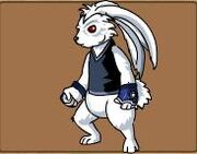 Wq.jpg