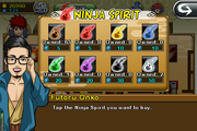 Ninja Spirits
