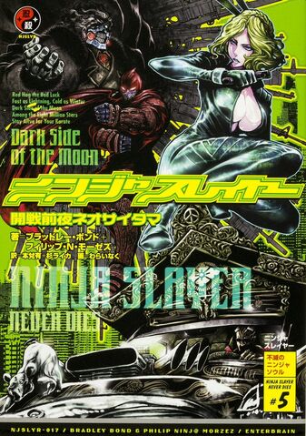 File:Novel 17.jpg