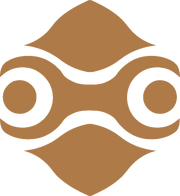 Gerudo Symbol (1)