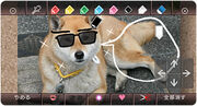PhotoChannel