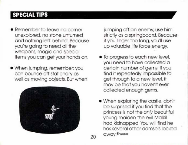 File:Wizards & Warriors Manual page 20.png