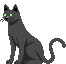 Cat-right