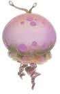 Great float jellyfish