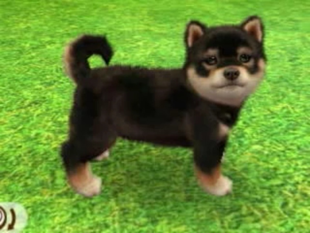 Nintendogs Cats Tips Nintendogs Cats Tips