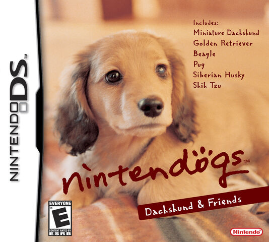 File:Dachshundfriends.jpg