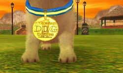 Dovahkiin Victory Collar