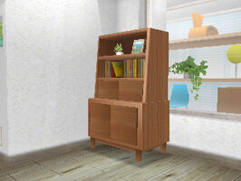 Woodcabinet