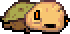 Crushed Beetle