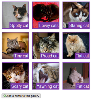 Customized photo gallery2