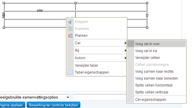 Bestand:TabelOpties.png