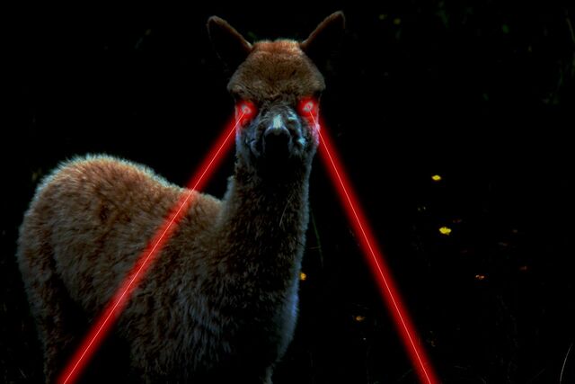 File:RoboLlama.jpg