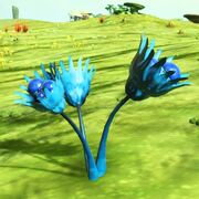 Blue f2.jpg