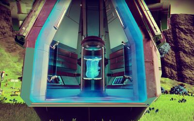Inside capsula.jpg