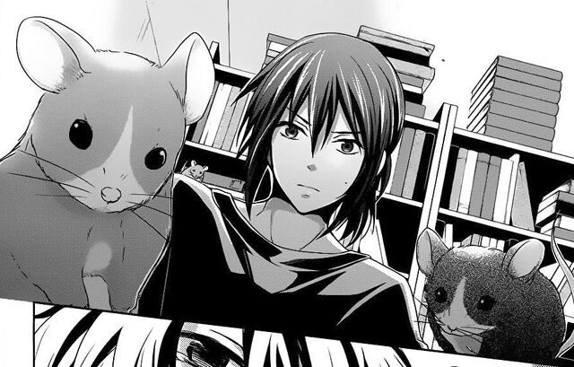 File:Nezumi & Mice.jpg