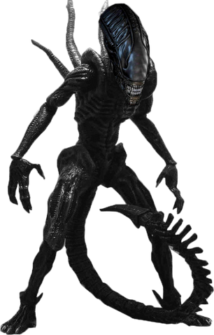 파일:Xenomorph.png