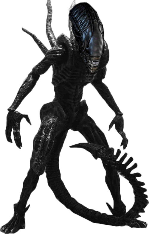 Xenomorph.png
