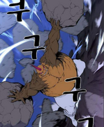 Braang ch429(1)