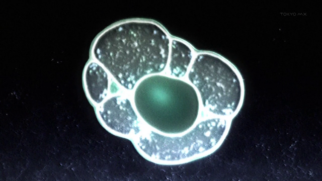 File:EIO Cell.png