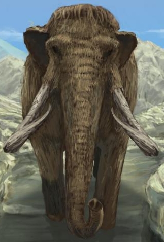 File:Rock Tusk Mammoth.jpg
