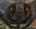 Thumbnail for version as of 05:02, September 4, 2008