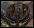File:HarpoonFly.png