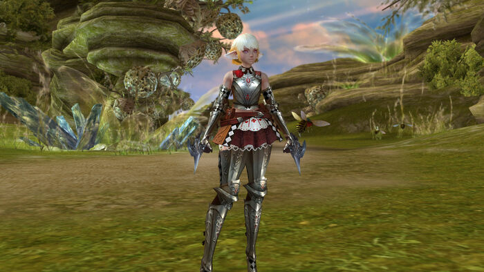Lineage 2 No Hud