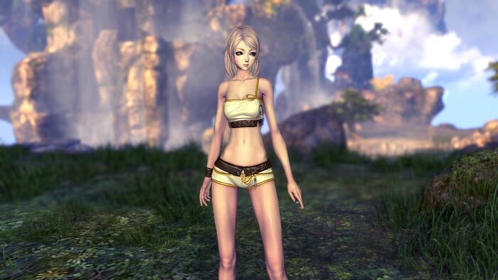 Blade & Soul No Hud