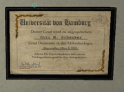 NOLF2 UniversityofHamburg