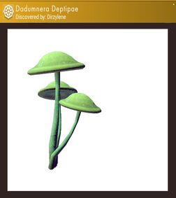 275850 20160827055603 1.png