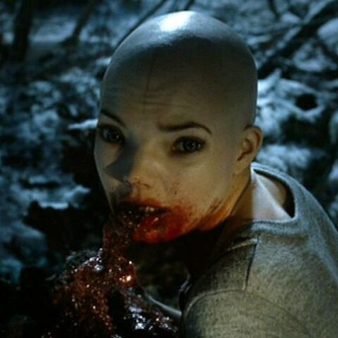 File:Dren2.jpg